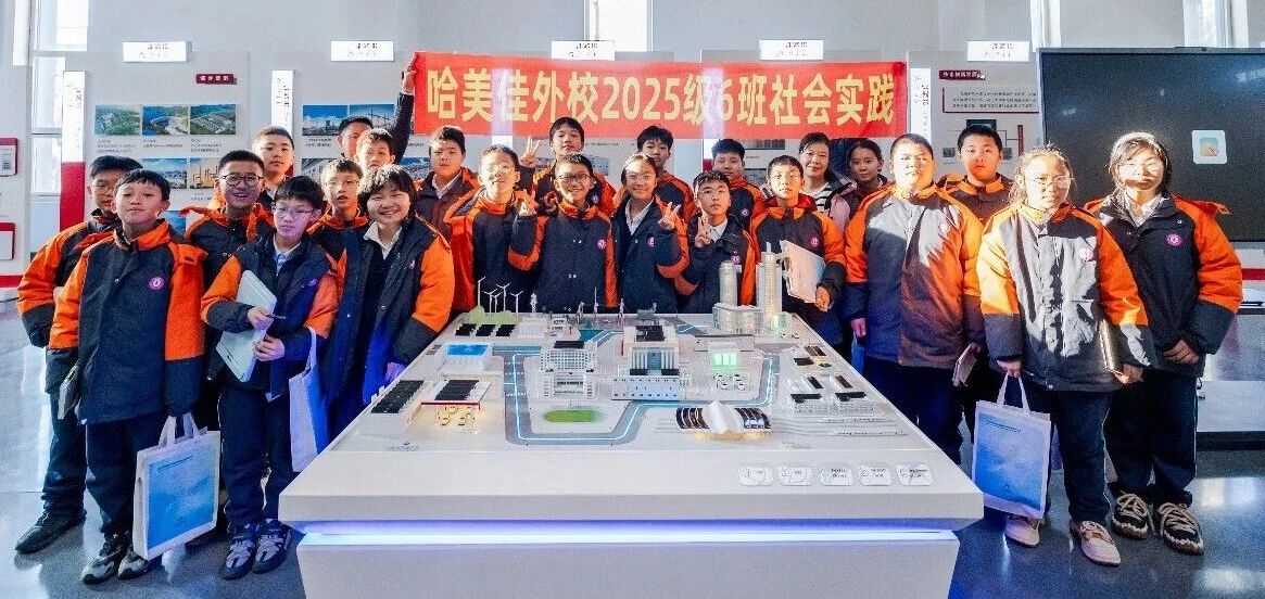 1768181303903661.jpg 5.jpg